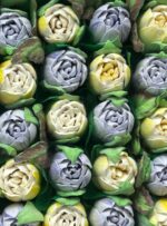 Lale Box No.12 - Görsel 3