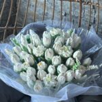 Lale Buketi No.28 – 45 Adet